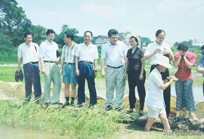 海利集團,長沙殺蟲劑,長沙光氣衍生物,長沙氨基酸保護劑,長沙鋰離子電池材料